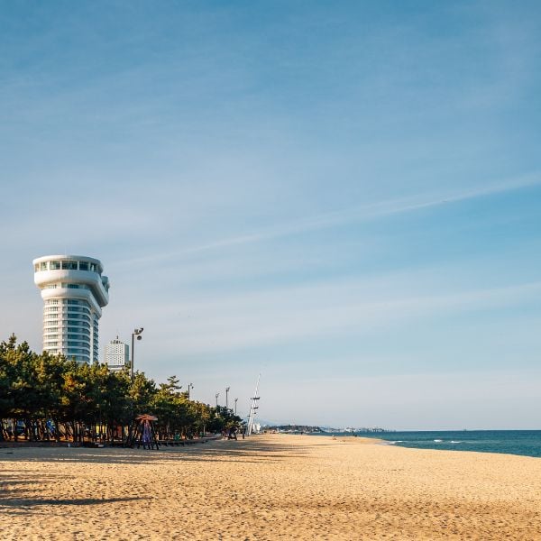 Complete South Korea Travel Guide 2025: Korean Travel Tips 65 Beach in Gangneung Korea