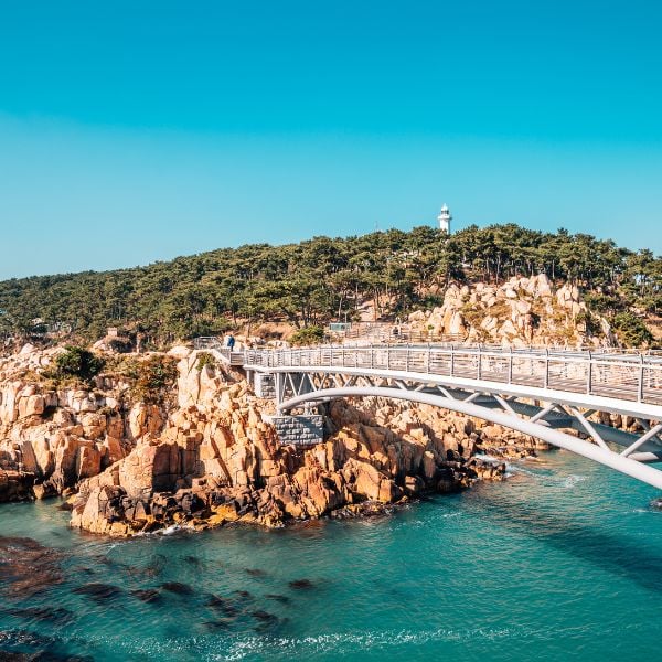 Complete South Korea Travel Guide 2025: Korean Travel Tips 66 Famous bridge in Ulsan Korea