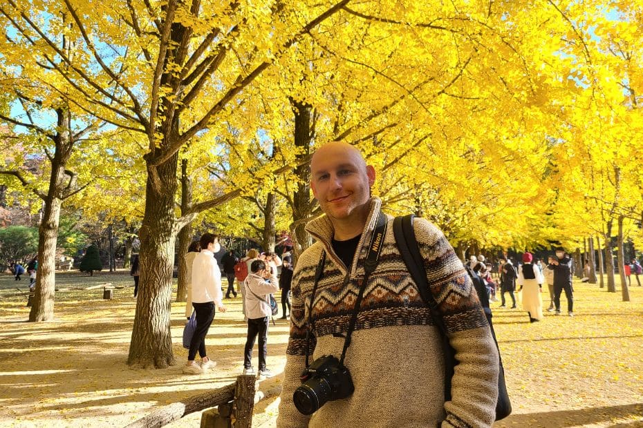 Complete South Korea Travel Guide 2025: Korean Travel Tips 121 Man with ginkgo trees at Nami Island