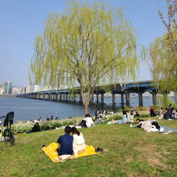 30 Best Free Things To Do In Seoul: Cheap Fun In Seoul 2025 22 People At A Han River Park Seoul